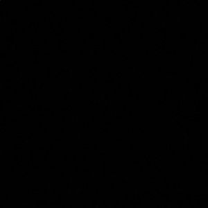 Meet your Posher, Julian